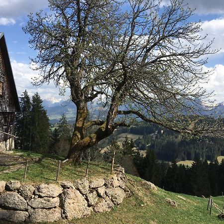 Fewo In Tiefenberg/ Allgaeu Ofterschwang Ngoại thất bức ảnh