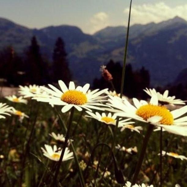 Fewo In Tiefenberg/ Allgaeu Ofterschwang Ngoại thất bức ảnh
